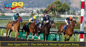 Đua Ngựa VZ99 – Tìm Hiểu Các Thuật Ngữ Quan Trọng