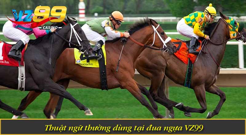 Thuật ngữ thường dùng tại đua ngựa VZ99
