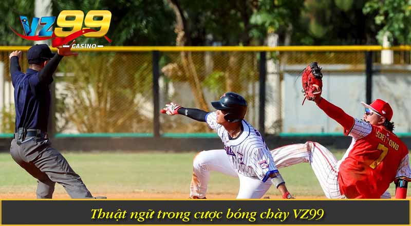 Thuật ngữ trong cược bóng chày VZ99